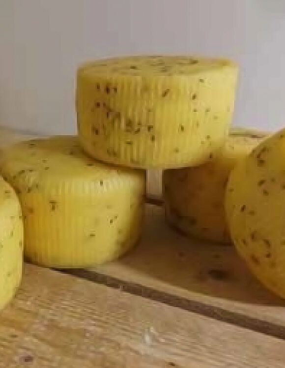 Caciotta ai Semi di Finocchio BIO