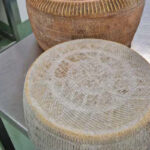 Formaggio Pecorino BIO Stagionato Alessia (Forma 12KG)