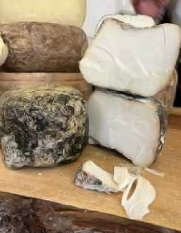 Ricotta Scorza Nera Forte